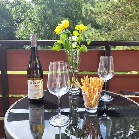Am Sommerdeich 公寓 Böhl