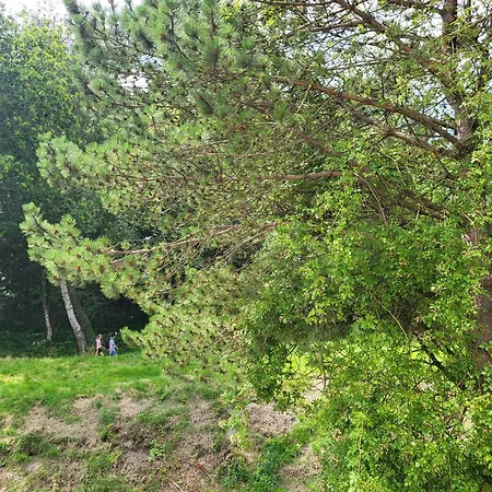 Apartment Am Sommerdeich *