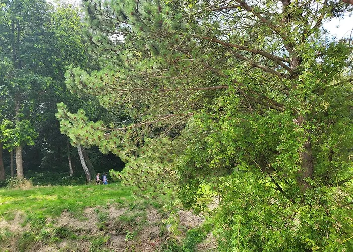 Lägenhet Am Sommerdeich *